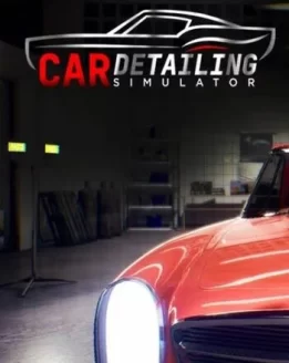 car-detailing-simulator