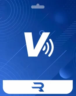 Visa Payment Card USD